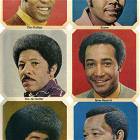 Evolution Of Afro