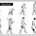 Evolution