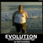 Evolve