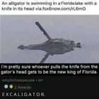 Excaligator
