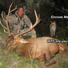 Excuse Me Sir