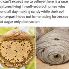 Expect Me To Believe