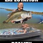 Expectations And Reality