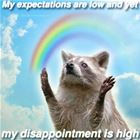 Expectations Are Low