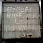 Expert Muffdiver