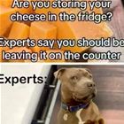 Experts