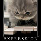 Expression
