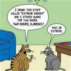Extreme Cats