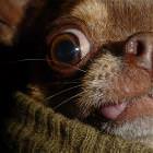 Extreme Closeup