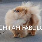 Fabulous