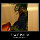 Face Palm