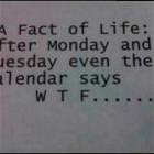 Fact Of Life