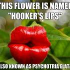 Facts Picdump 20