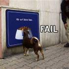 Fail Dog