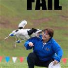 Fail Dog