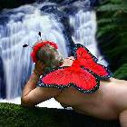 Fairy