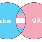 Fake And Gay
