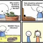 Fall For Anything