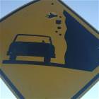 Falling Cows