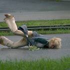 Falling On Her Face