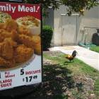 Family Meal