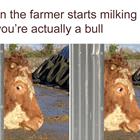 Farmer Starts Milking