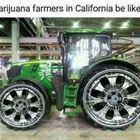 Farmers In Cali