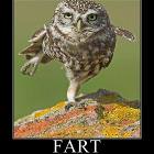 Fart