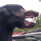 Faster Faster Faster