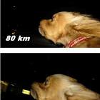 Faster Faster