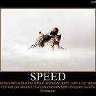Fastest