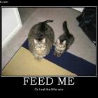 Feed Me