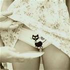 Feed The Kitty