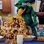 Feeding The Babies