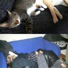 Fell Asleep Like This