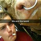 Felfies