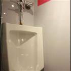 Female Urinal
