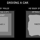 Females