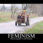 Feminism
