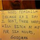 Feminism In A Nutshell