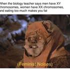 Feminist Noises