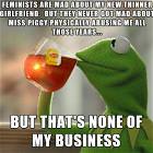 Feminists Are Mad