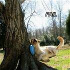 Fetching