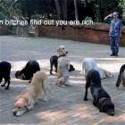 Find Out