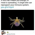 First Attack