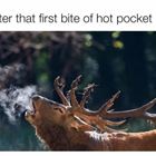 First Bite