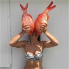 Fish Face