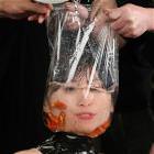 Fish Tank