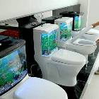 Fish Toilet