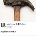 Fishhammer